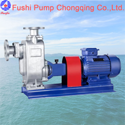 CZW Marine Self-priming Drainiag Pump.jpg